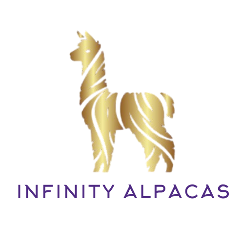 Welcome to Infinity Alpacas